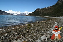 220px-Marinelli_Glacier_Cordillera_Darwin.jpg