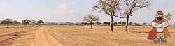 250px-Mikumi_panorama.jpg