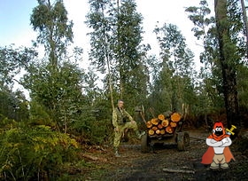 280px-Kolkheti_National_park.jpg
