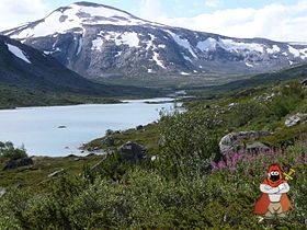 280px-P1000154Gamle_Strynefjellsvegen.jpg