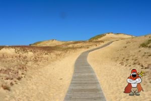 300px-Image-Lithuania_Juodkrante_sand_dunes.jpg