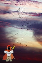 Abdims_storks_in_a_storm_Etosha_2013.jpg