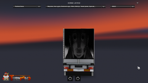 ets2_00142.png