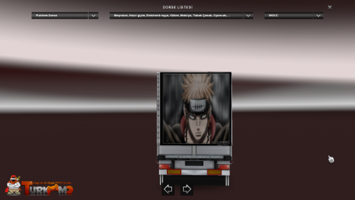 ets2_00088.png