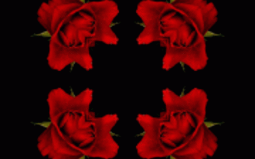 anigif.gif