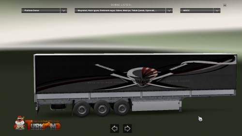 ets2_000232c7f7.png