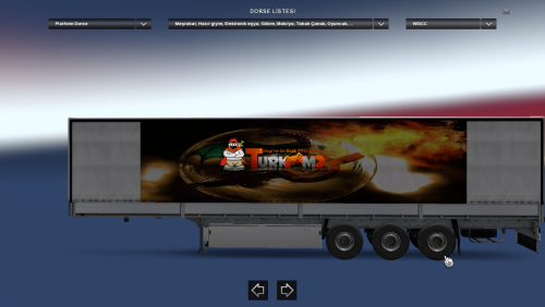 ets2_000338252b.png