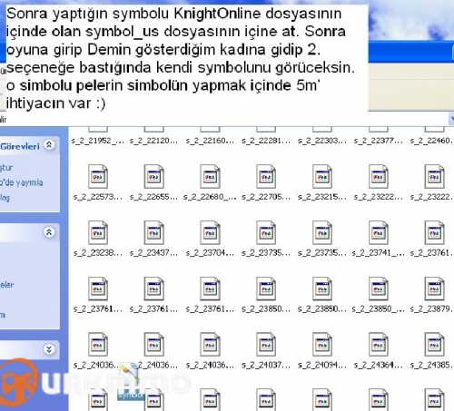 dsnf3.png