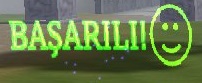 basarili.jpg