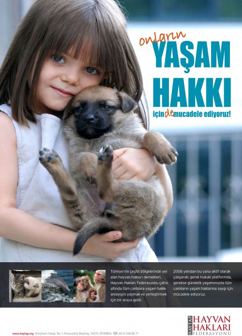 Poster3.jpg