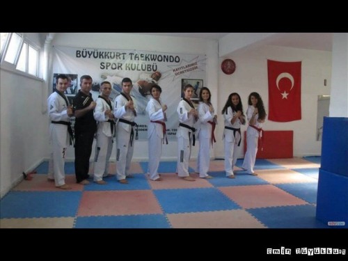 eminbuyukkurttaekwondoIsparta21.jpg