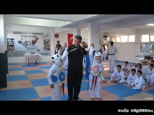 eminbuyukkurttaekwondoIsparta24.jpg