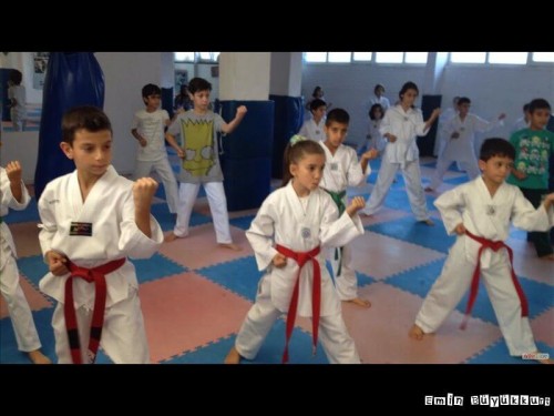 eminbuyukkurttaekwondoIsparta27.jpg