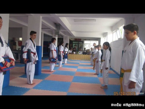 eminbuyukkurttaekwondoIsparta31.jpg