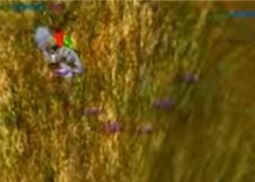 74F8A8151C58ACC881FBD7346DA0459F009262DA88AF1E44F3pimgpsh_thumbnail_win_distr97fbc.jpg