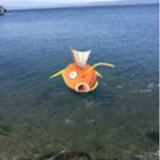 Clipboardimage2016-07-10050440.png