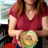 Clipboardimage2016-07-10050708.png