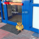 Clipboardimage2016-07-10051013.png