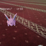 Clipboardimage2016-07-10051041.png