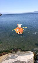 pokemon13.jpg