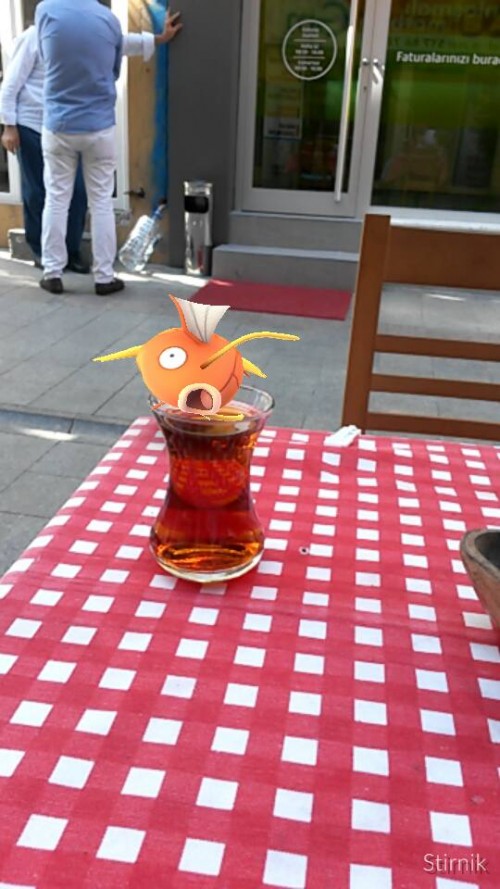 pokemongo.jpg