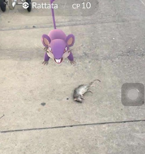 pokemongo11.jpg