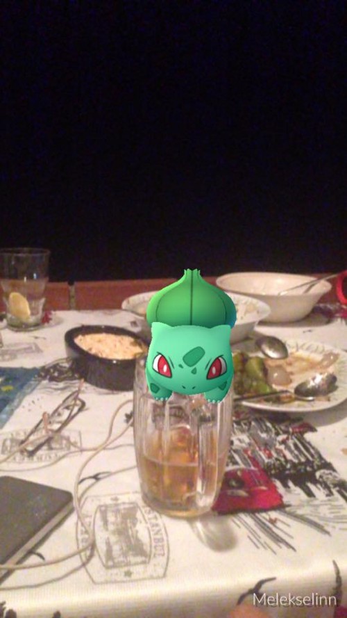 pokemongo115e22c.jpg