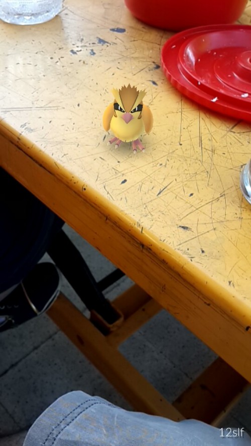 pokemongo84f93f.jpg