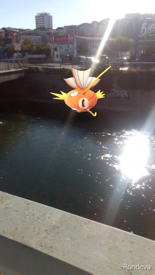 pokemongo9a6d2a.jpg