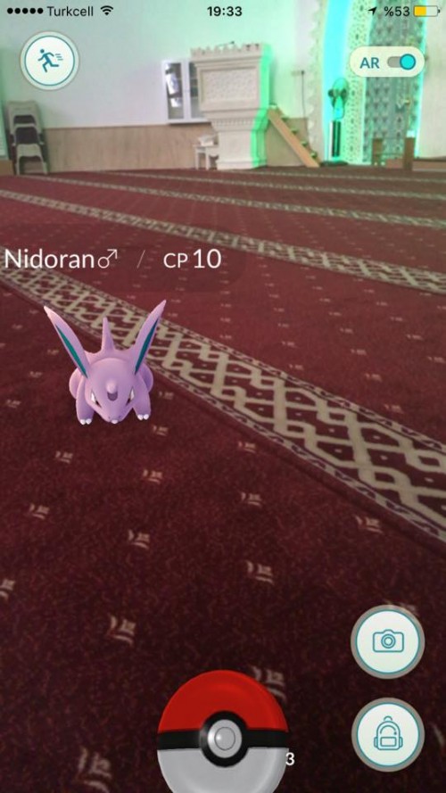 pokemongocami.jpg