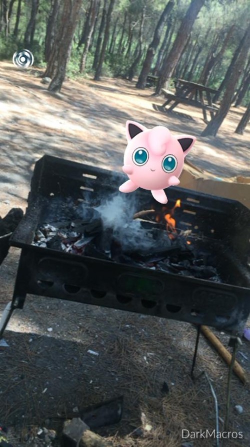 pokemonmangalk.jpg