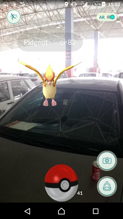 pokemonotopark.jpg