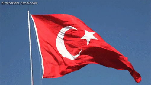 tumblr_nnbc0mDNZC1s90udzo1_500.gif