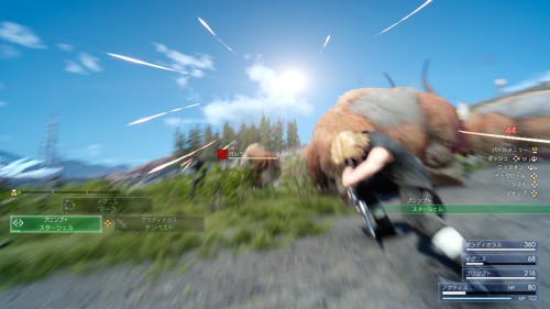 19.jpg