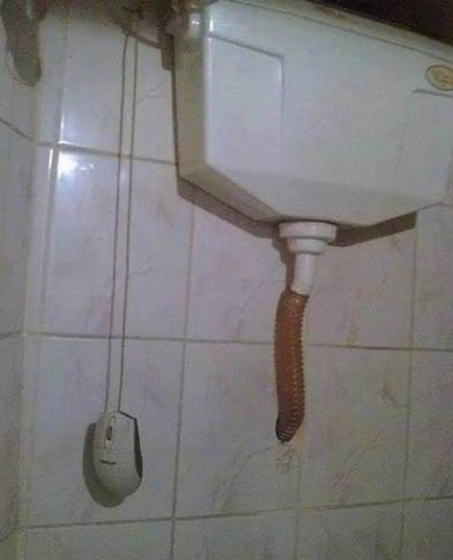 53.jpg