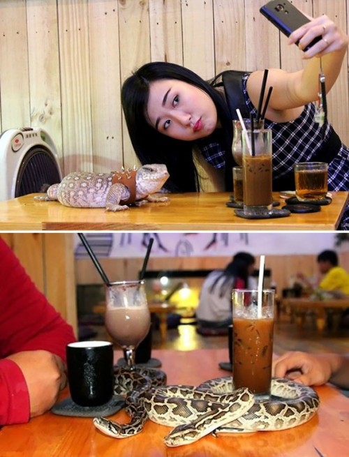 restoran1.jpg