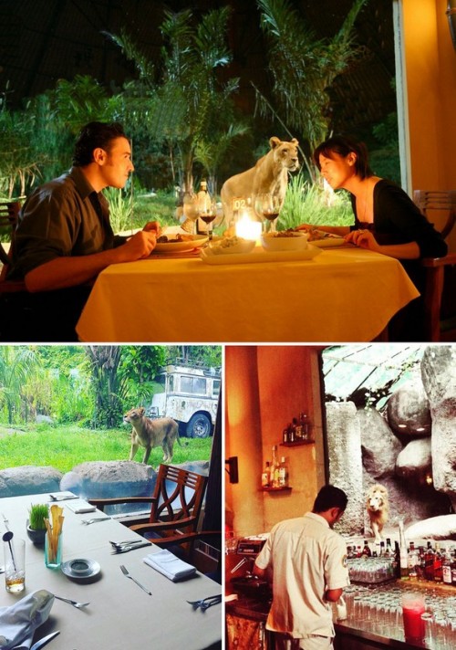 restoran15.jpg