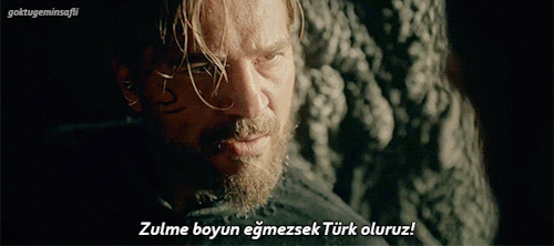 tumblr_ofntcq8diZ1vw04djo1_500.gif