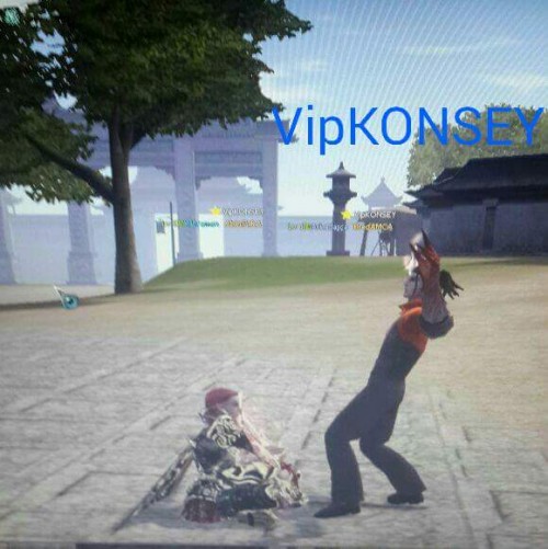 VipKONSEY