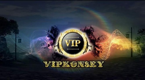 VipKONSEY