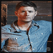 asild84ec.gif