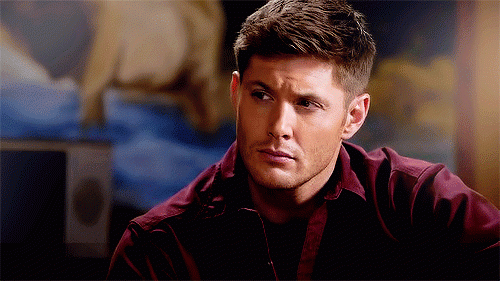 17328181_384314438619770_2075976592_n.gif