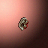 30202_big.png