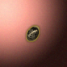30220_big.png