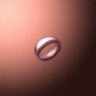 30532_big.png