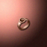 30536_big.png