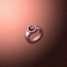 30540_big.png