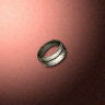 30542_big.png