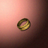 30544_big.png