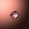 30547_big.png